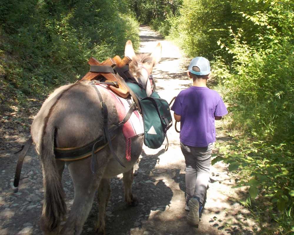 balade pédagogie âne enfants 13