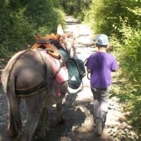 balade pédagogie âne enfants 13
