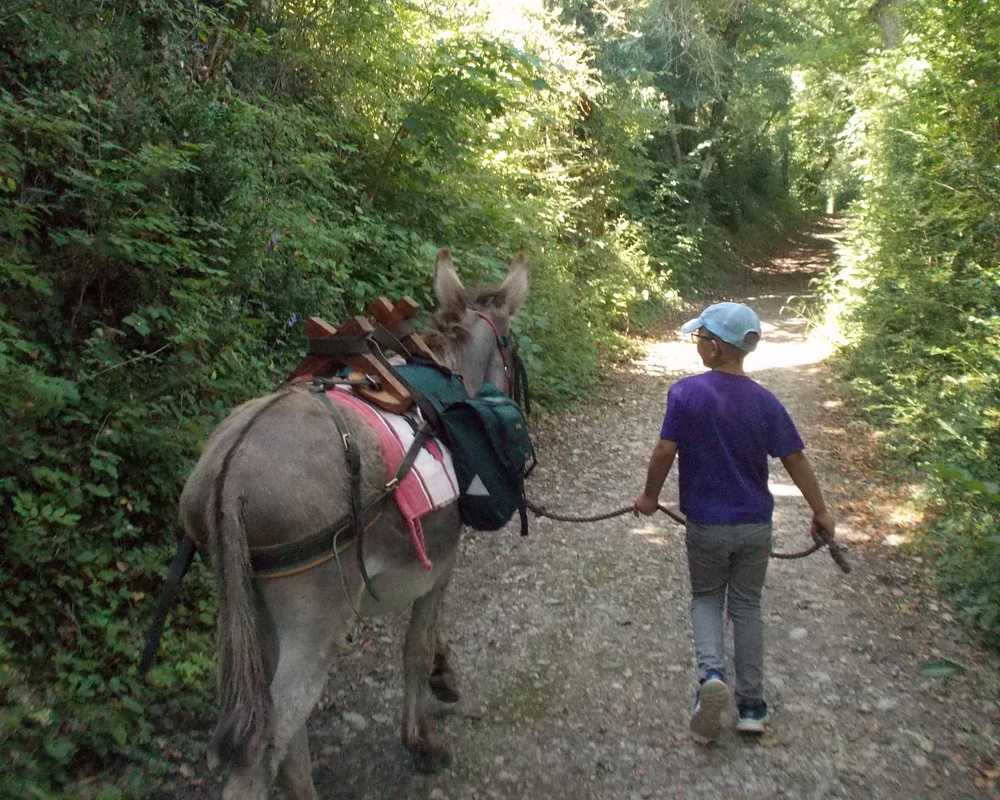 balade pédagogie âne enfants 14
