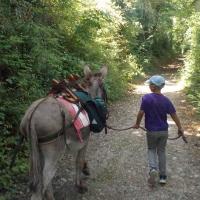 balade pédagogie âne enfants 14