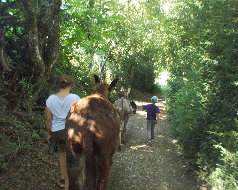 balade pédagogie âne enfants 17