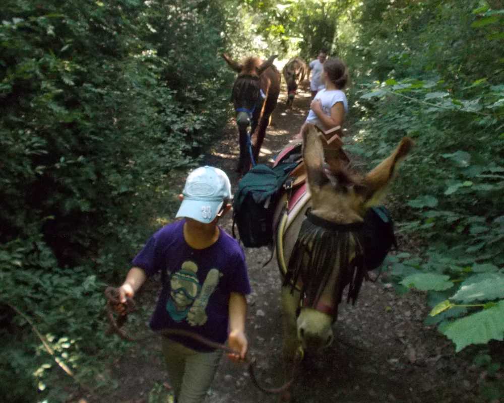 balade pédagogie âne enfants 19
