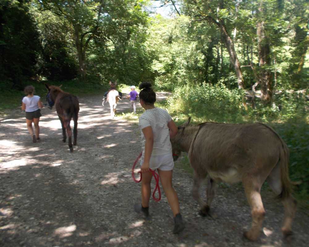 balade pédagogie âne enfants 23