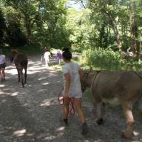 balade pédagogie âne enfants 23