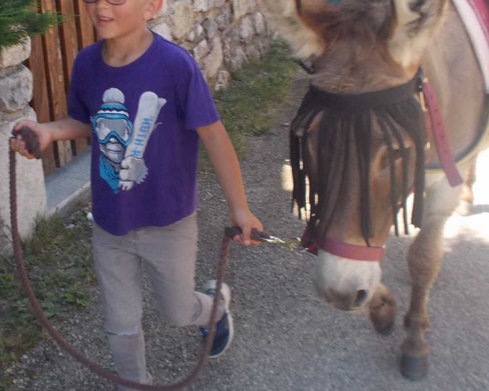 balade pédagogie âne enfants 32 loris