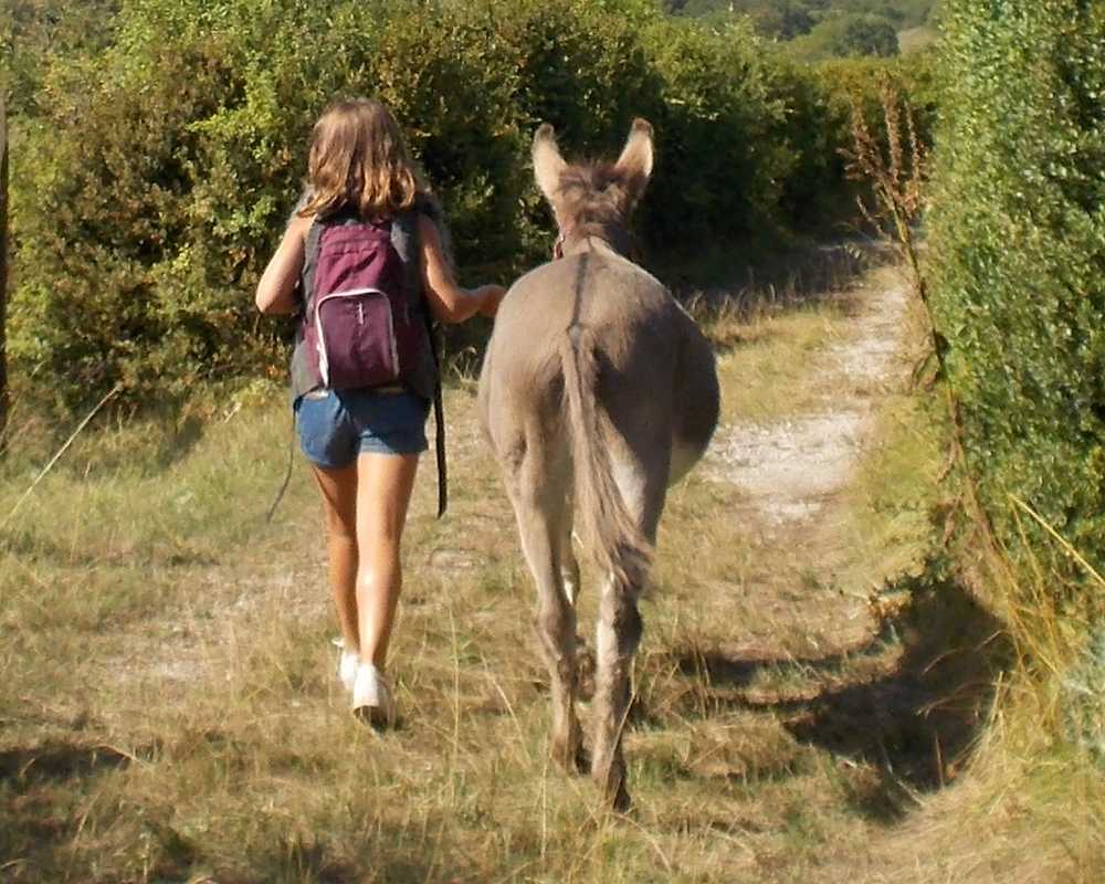En route pour l'aventure