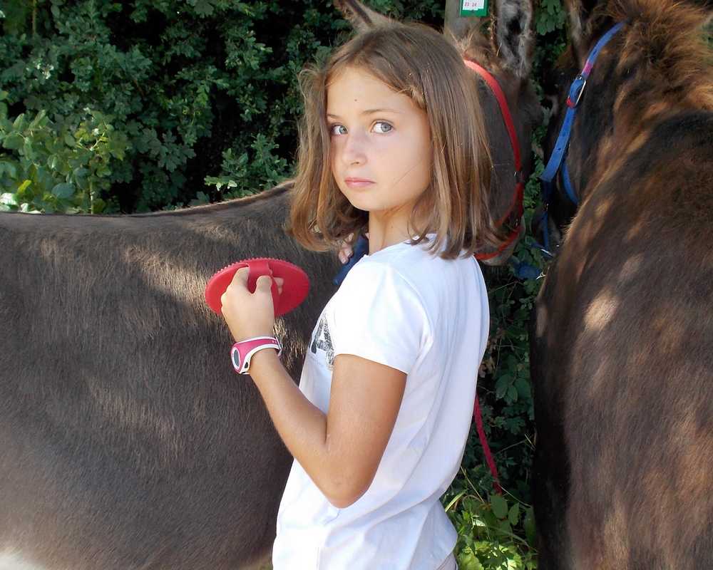 balade pédagogie âne enfants 44