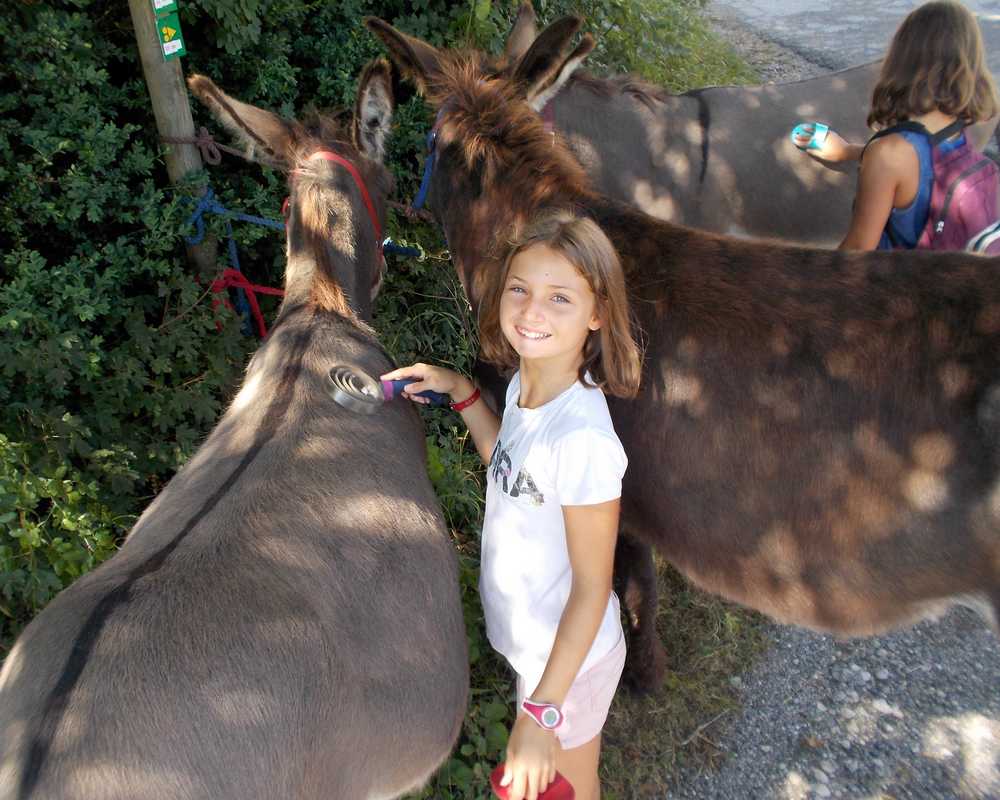balade pédagogie âne enfants 45