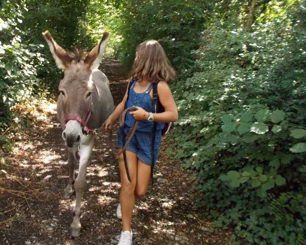 Dans la foret