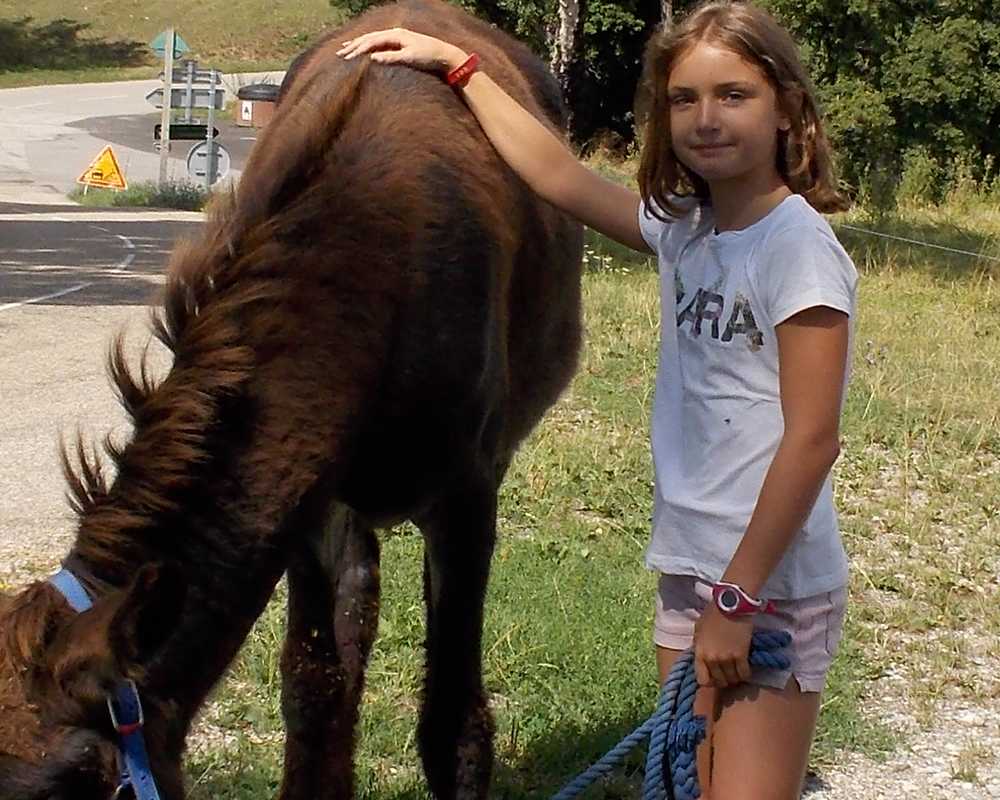 balade pédagogie âne enfants 49