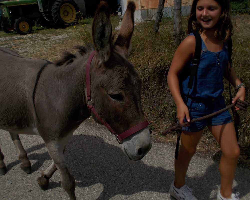 balade pédagogie âne enfants 50