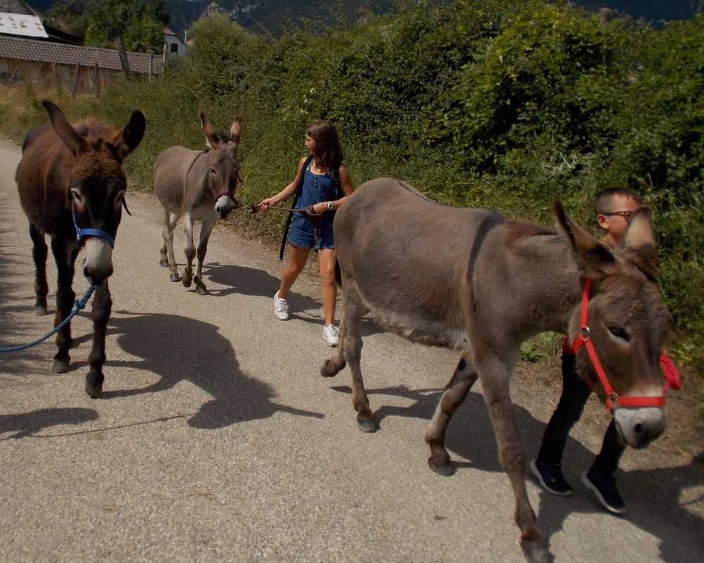 balade pédagogie âne enfants 53