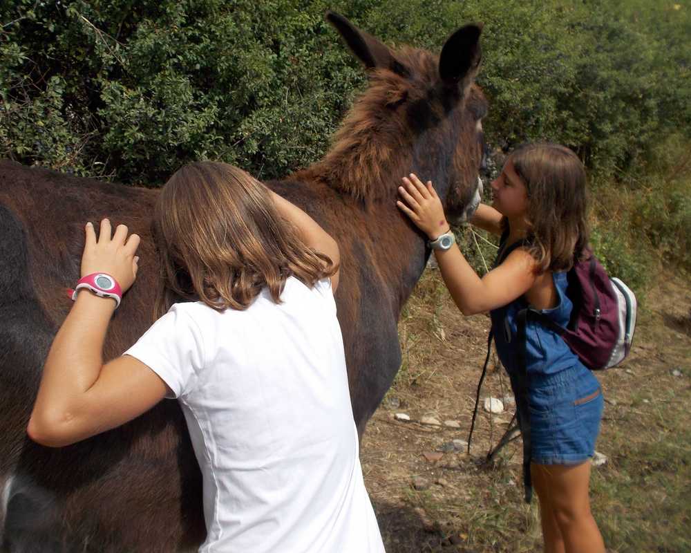 instant calin 