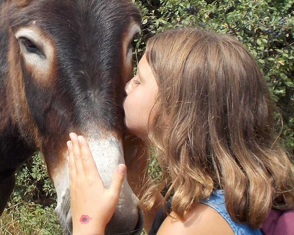 balade pédagogie âne enfants 55 bis 2