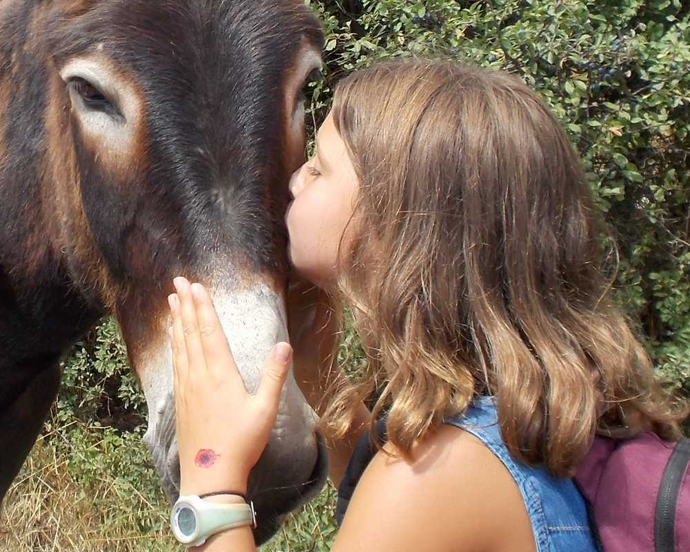 balade pédagogie âne enfants 55 bis