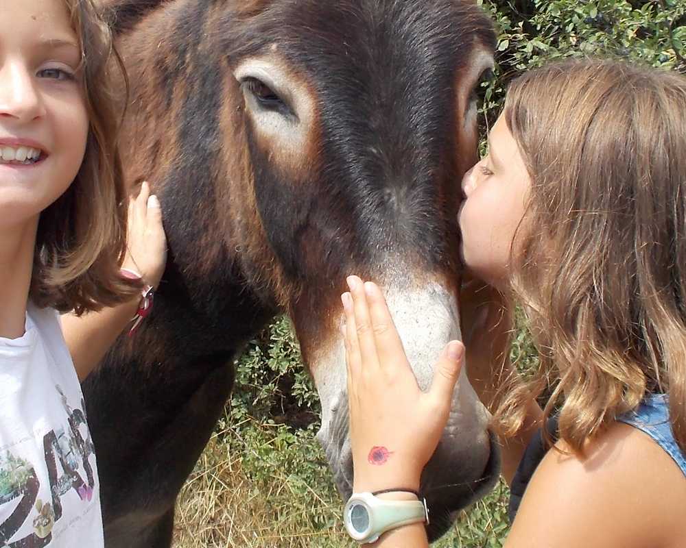 balade pédagogie âne enfants 55
