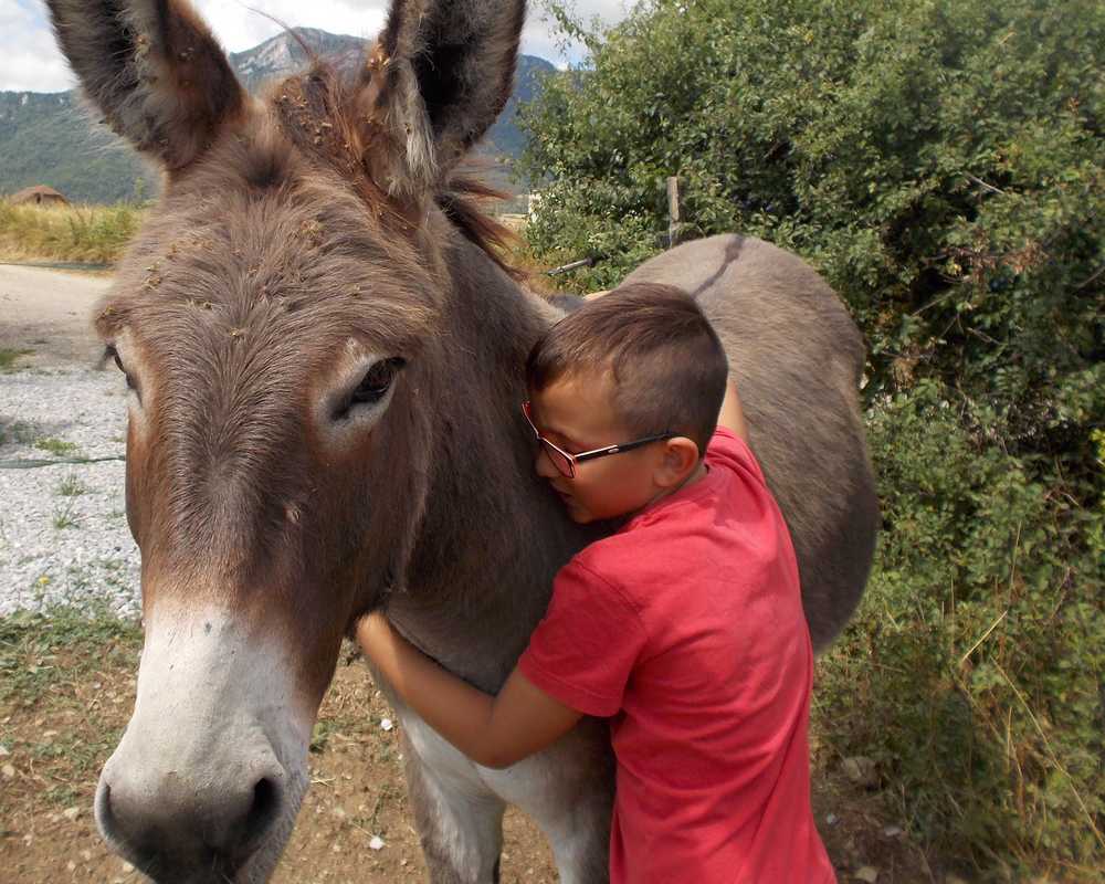 balade pédagogie âne enfants 56