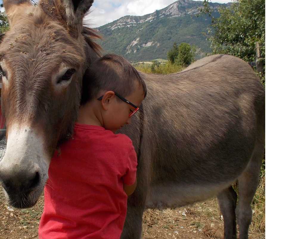 balade pédagogie âne enfants 57