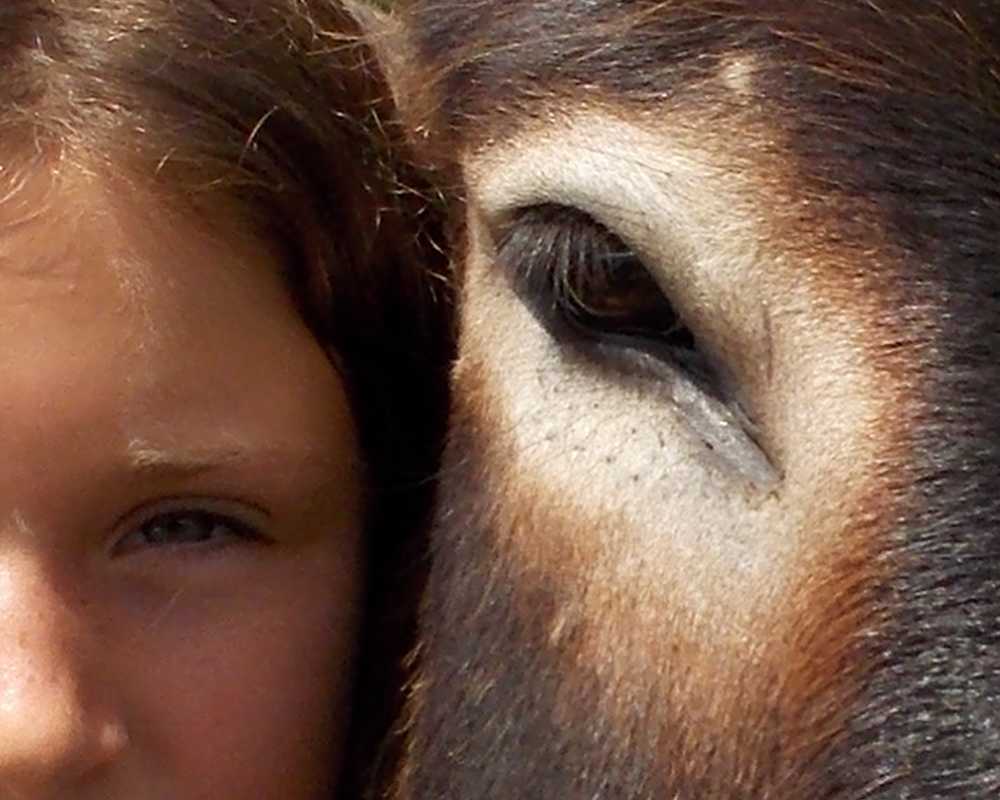 oeil pour oeil