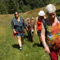chasse au trésor 