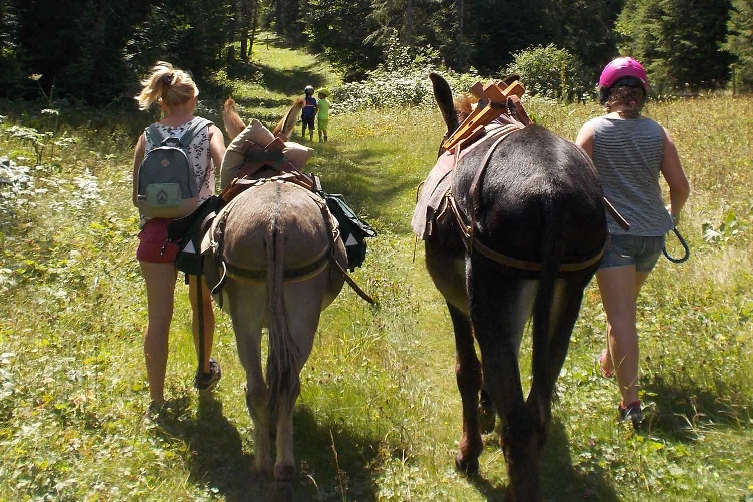 chasse au trésor 