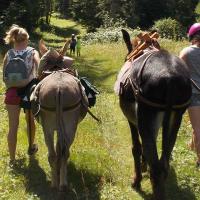 chasse au trésor 