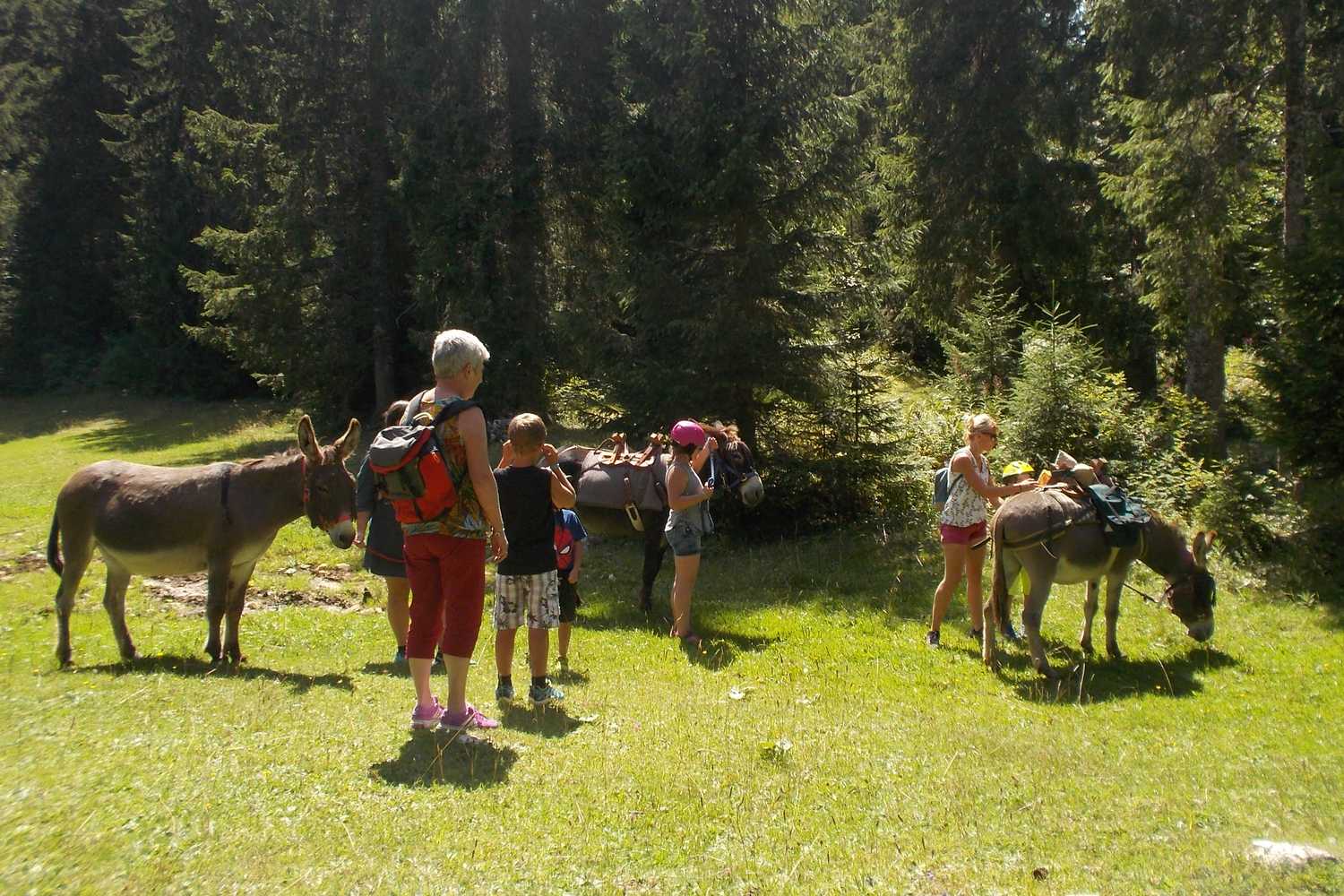 chasse au trésor 