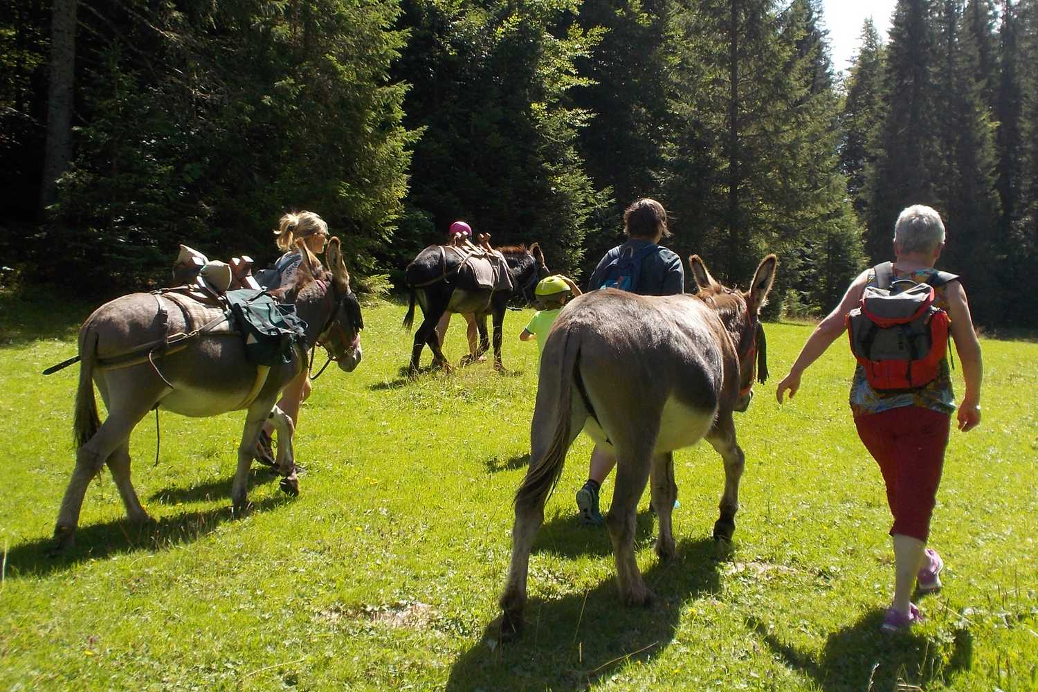 chasse au trésor 