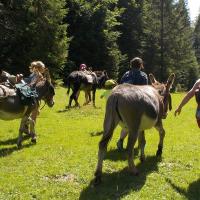 chasse au trésor 