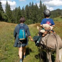 chasse au trésor  