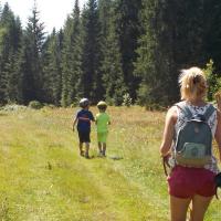 chasse au trésor 
