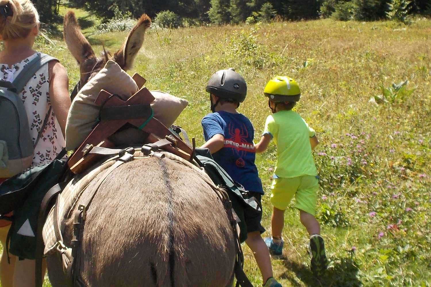 chasse au trésor 