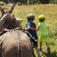 chasse au trésor 
