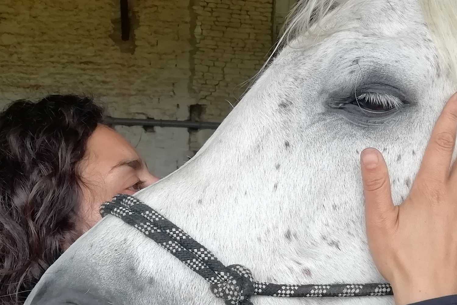 kinésiologie animale 