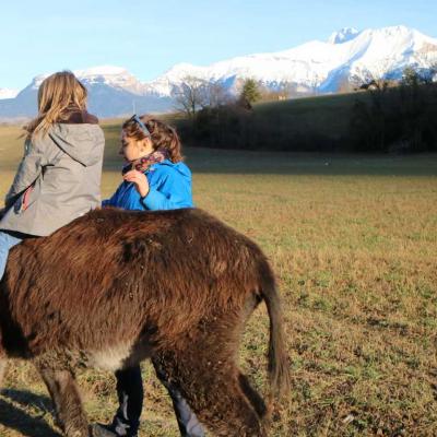 apprécier le contact sur l'âne