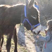 prendre confiance en guidant l'âne