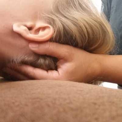 cranio humain
