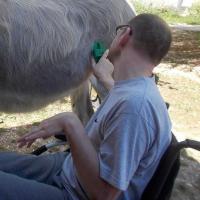 Handicap moteur 