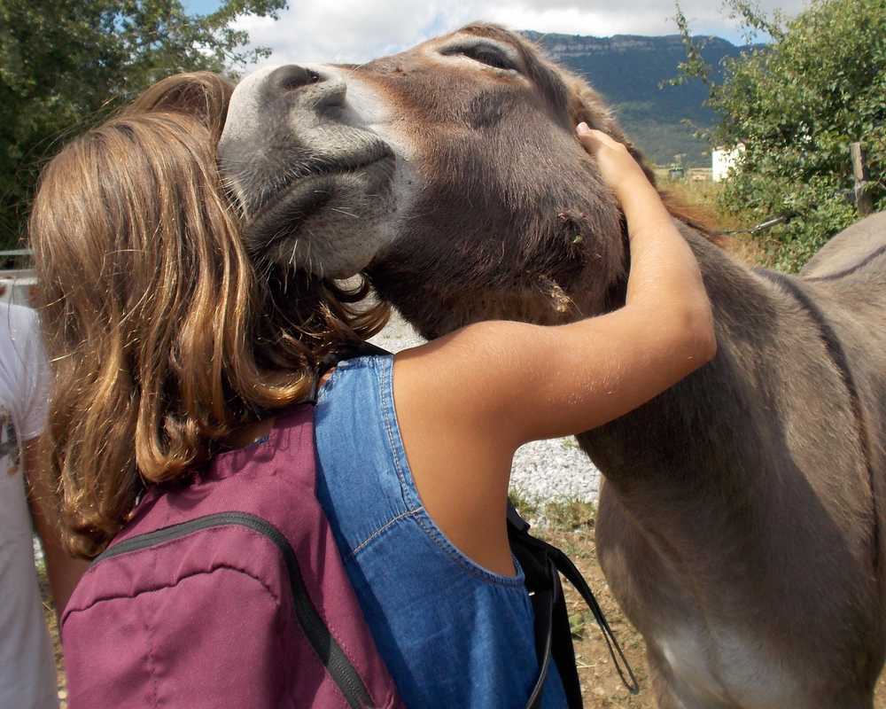 gros calin 