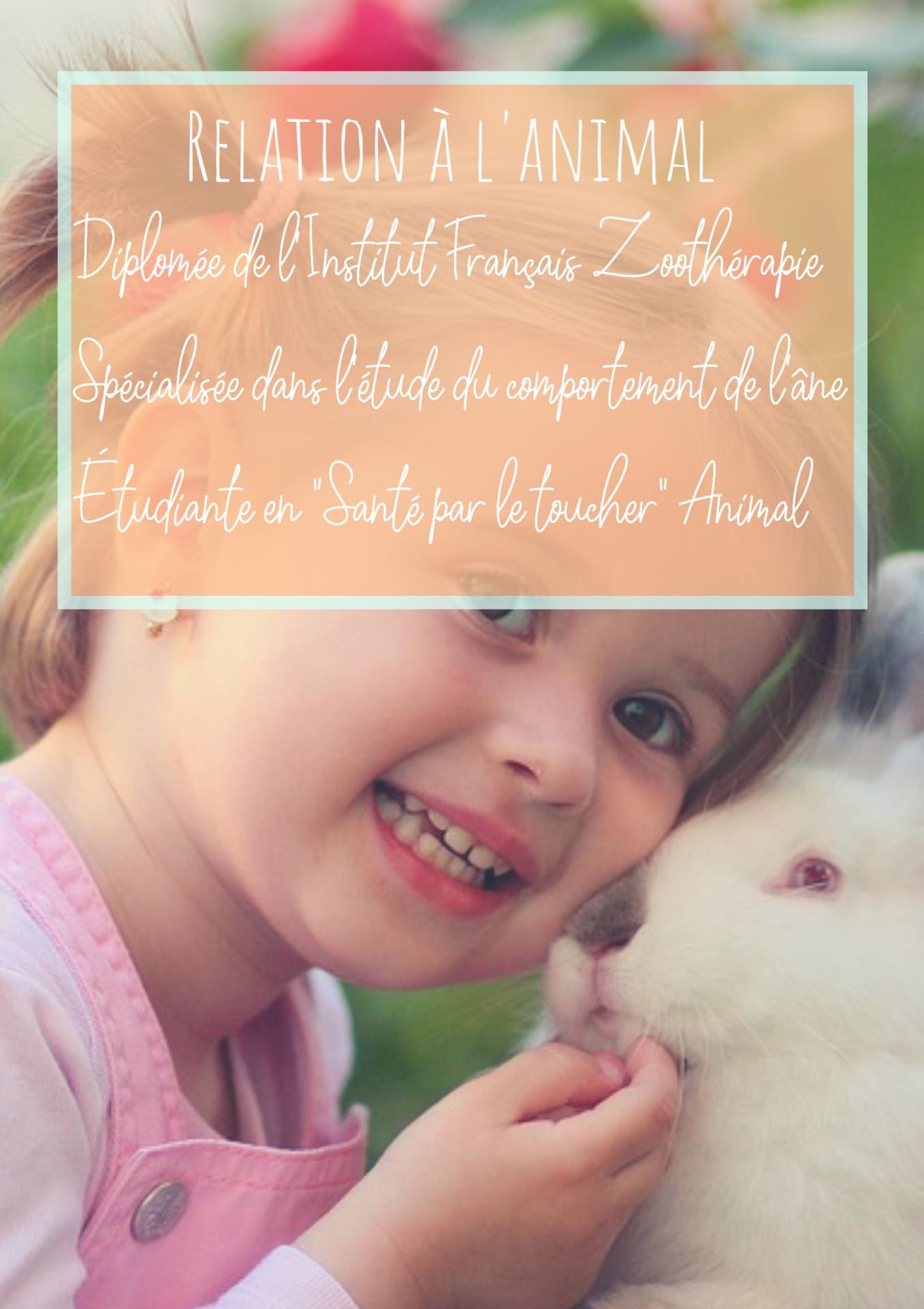 relation animal