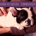 clique ici pour voir le programme
