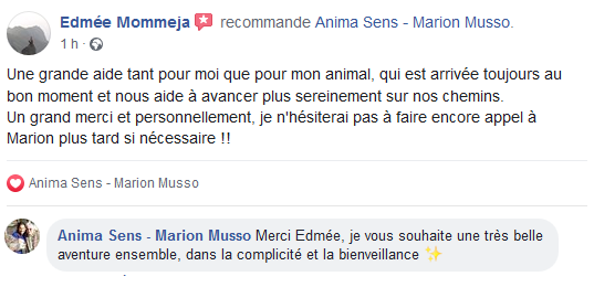 Avis