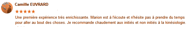 avis kinésiologie