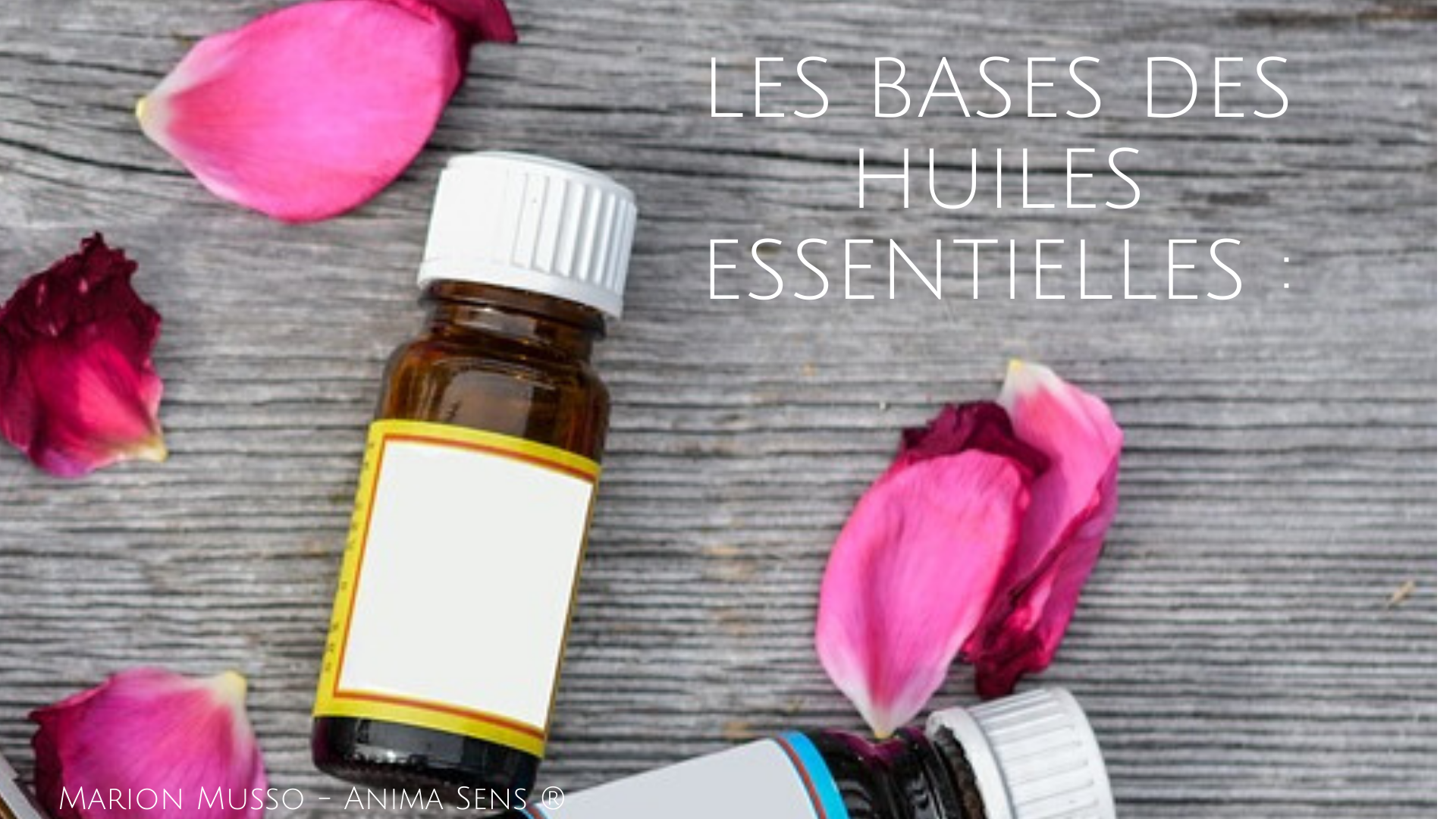 Aromathérapie : les bases fondamentales - Niveau 1