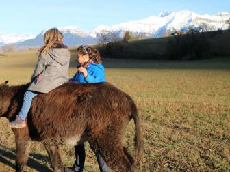 Lyloo mango monte montagne