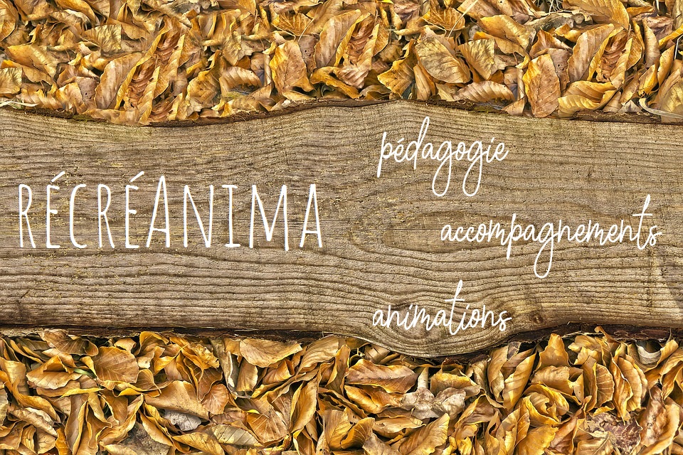 Recreanima