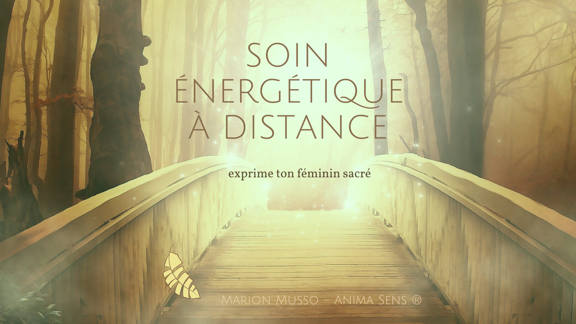 Soin energetique a distance